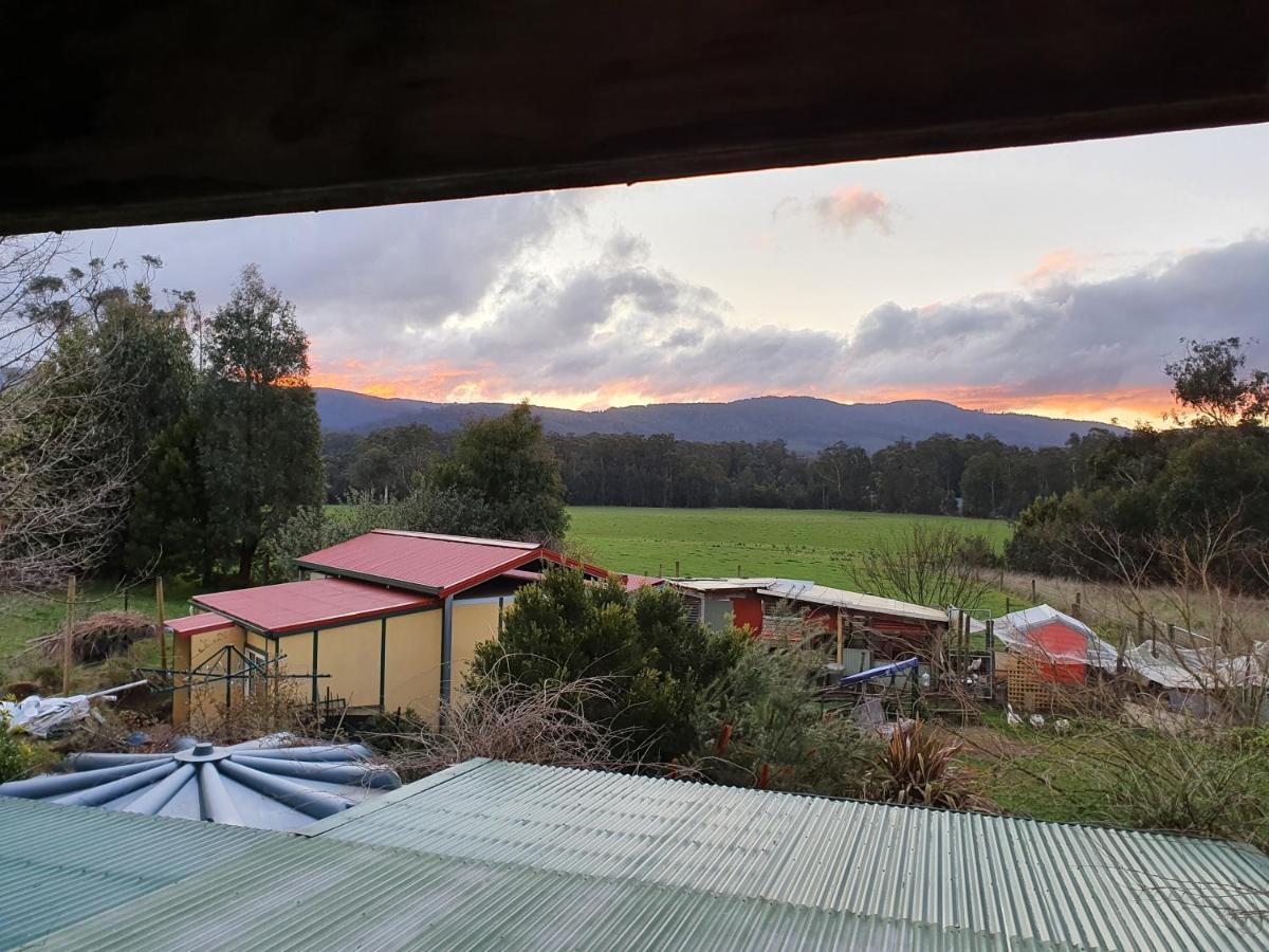 Oaktree Guest House Narbethong Exterior photo