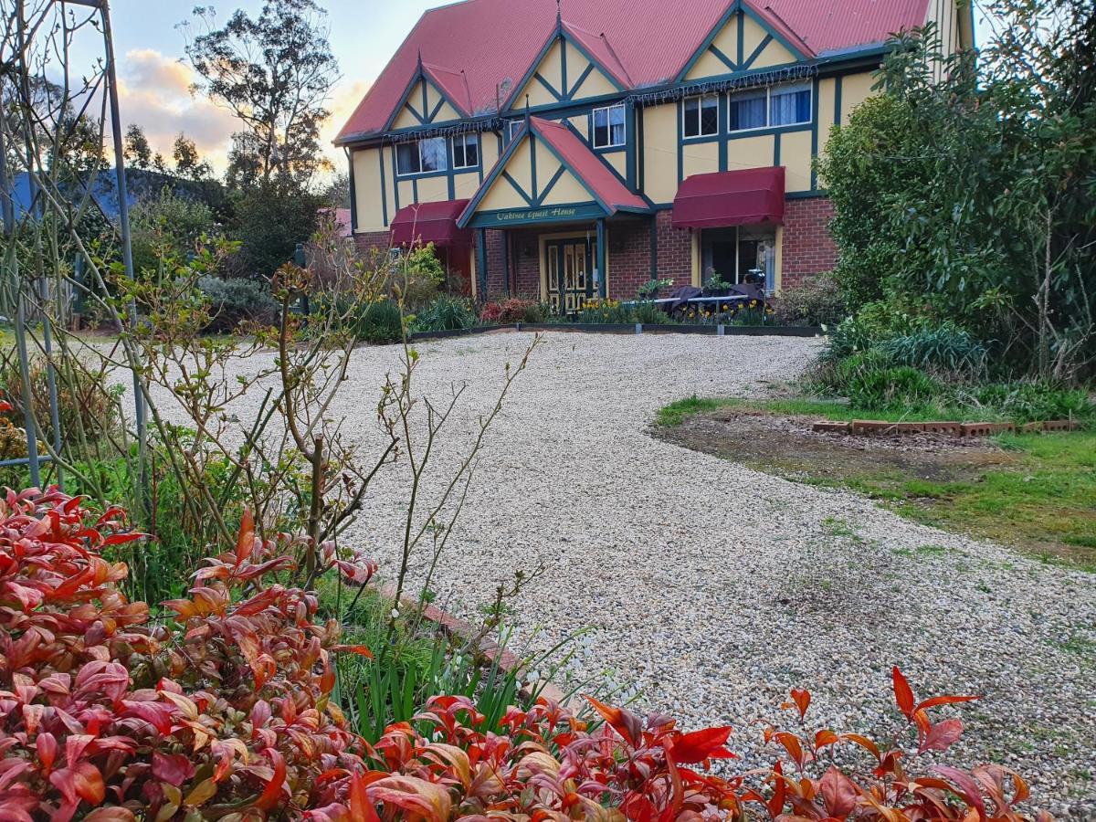 Oaktree Guest House Narbethong Exterior photo