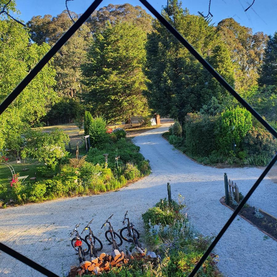 Oaktree Guest House Narbethong Exterior photo