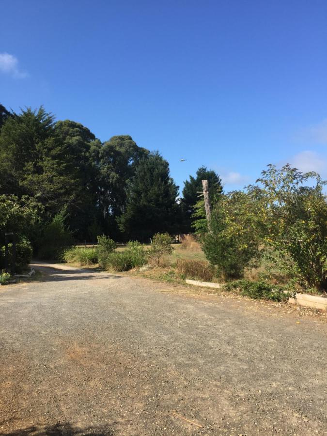 Oaktree Guest House Narbethong Exterior photo