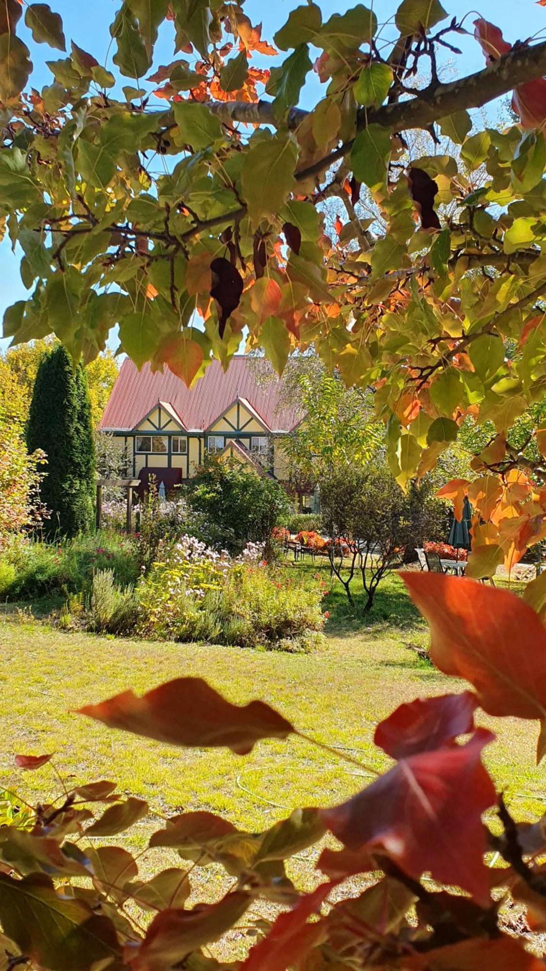 Oaktree Guest House Narbethong Exterior photo