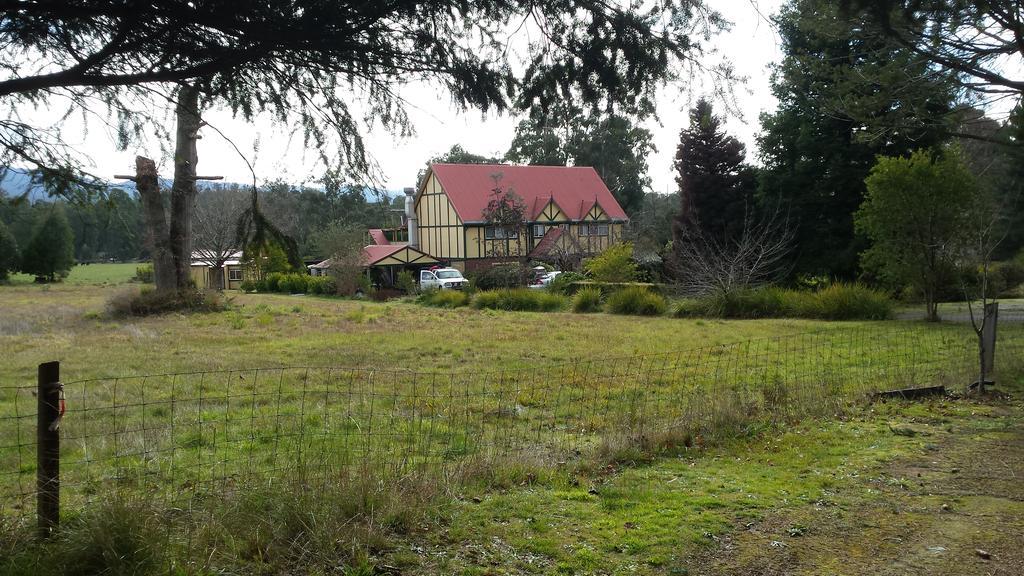 Oaktree Guest House Narbethong Exterior photo